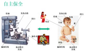 信息咨詢服務(wù) 專業(yè)產(chǎn)品與全方位服務(wù)解析